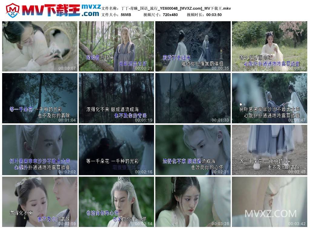 丁丁-青睐_国语_流行_YE600048